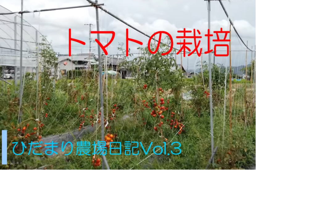 ひだまり日誌 動画サムネイル