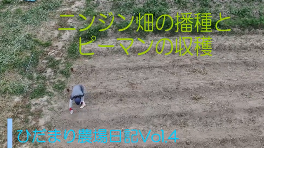 ひだまり日誌 動画サムネイル
