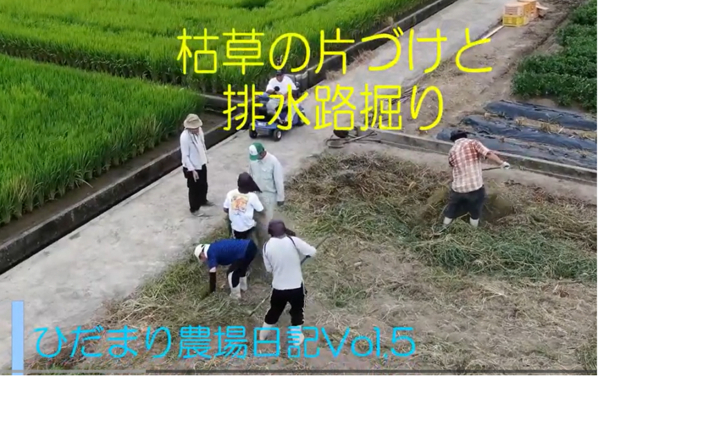 ひだまり日誌 動画サムネイル