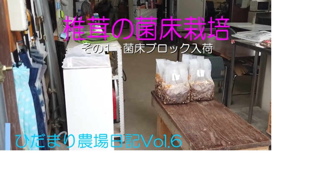 ひだまり日誌 動画サムネイル